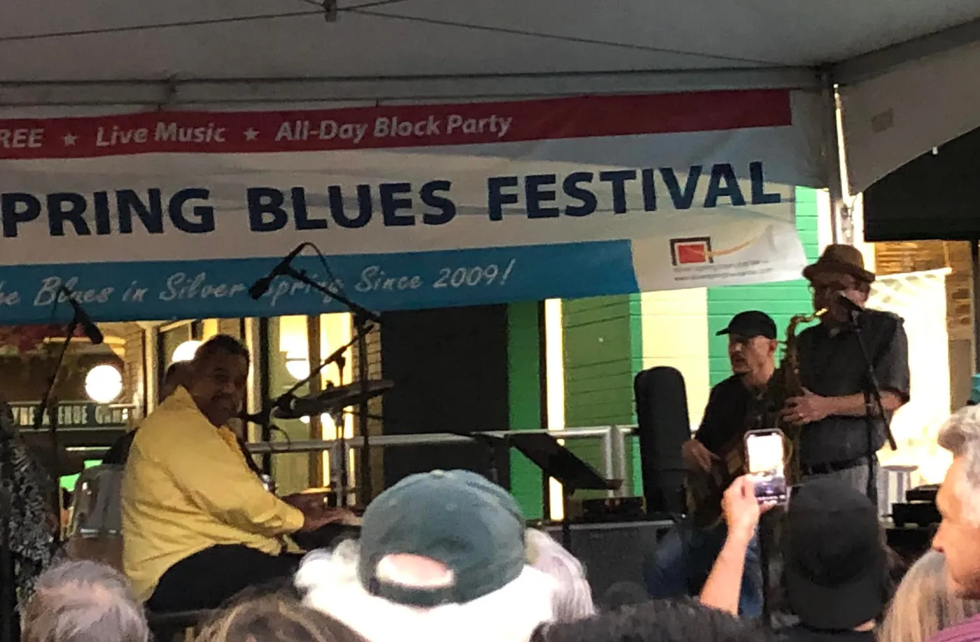 Russ Rodgers performing at an outdoor blues festival